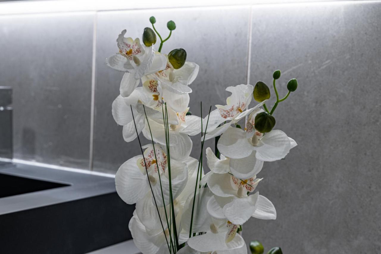 Fajã de Cima Foral Dreamsヴィラ エクステリア 写真